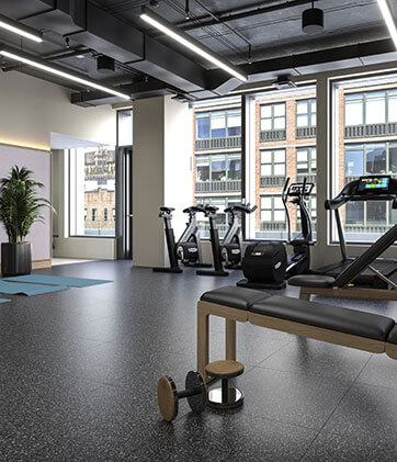 Gymnasium with ellipticals overlooking New York City