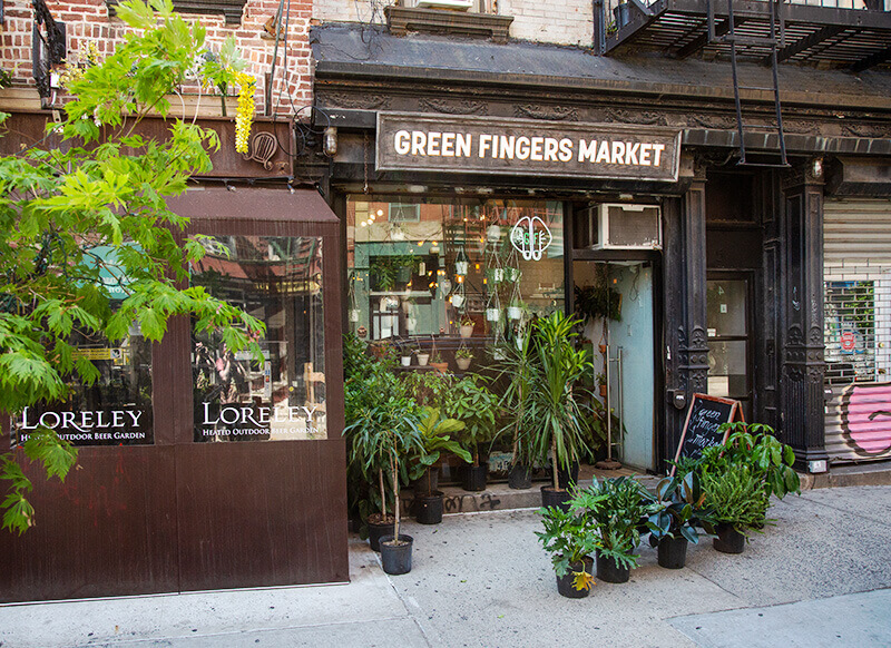 Storefront of Green Fingers Market
